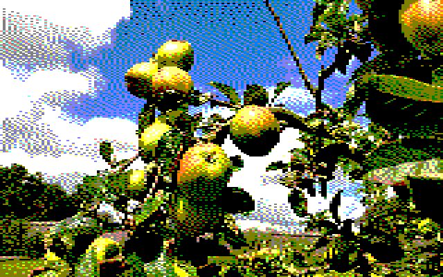 Image converted by 'CPiC'. Apple tree branch with green apples in orchard. In the background other trees and fields, under blue sky with clouds