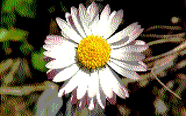 Image converted by 'CPiC'. Close-up of a single white daisy flower as the focal point, with a pinkish-white outer layer and a light yellow center, surrounded by slightly blurred green leaves and stems.